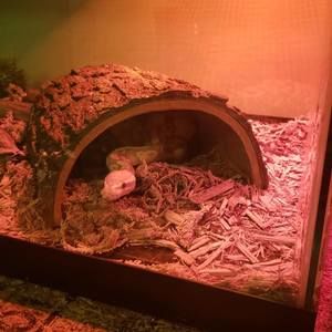 Meet your Posher, Janet